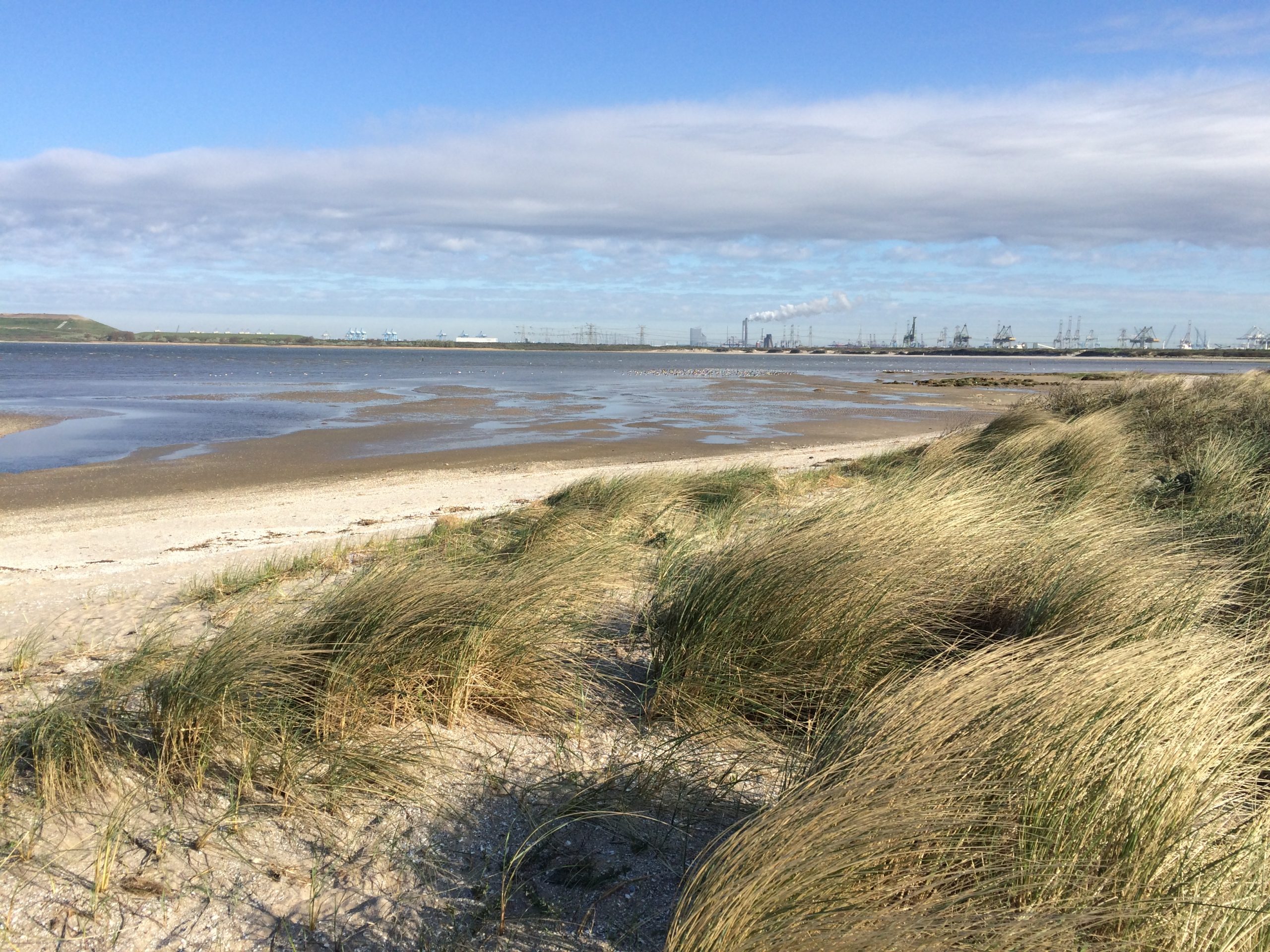 Werkgroep Natuur en beleid