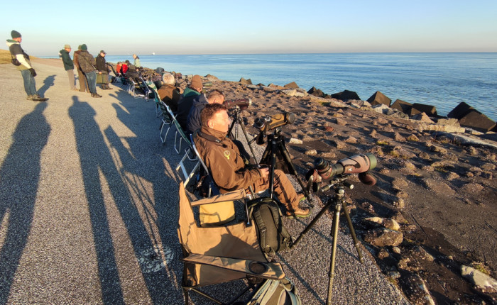 EuroBirdwatch