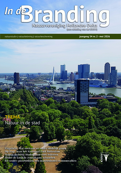 Gecorrigeerde versie In de Branding 2026-2
