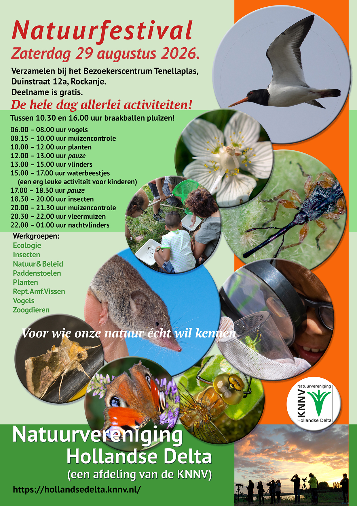 Maak kennis met de rijkdom van de natuur in de duinen van Voorne tijdens het Natuurfestival!