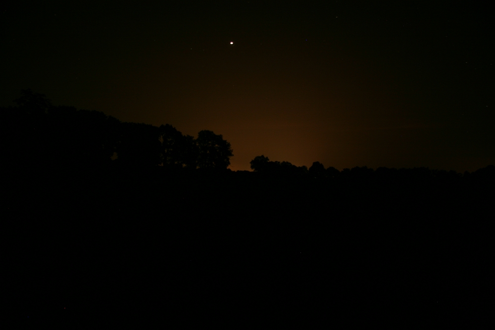 Beleef de nacht in de duinen van Voorne